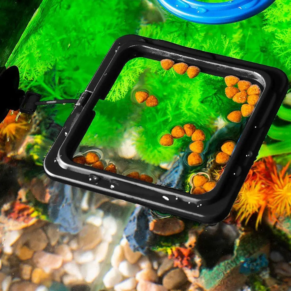 Fish Food Feeding Ring Aquarium Fish Tank Fish Feeder for Tropical Fish Food Feeding Assistant Pet Aquarium Accessories